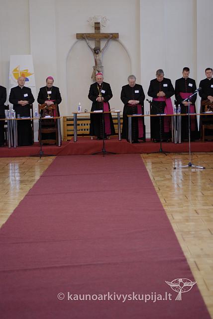 2007 kn-sinodas 6038 sk