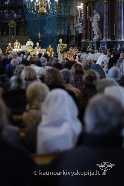 2007 kn-sinodas 7031 sk