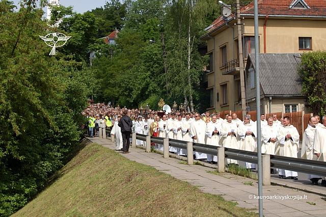 2008 devintines 1065 ds