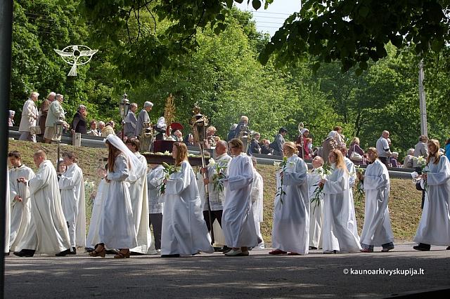 2008 devintines 1071 ds