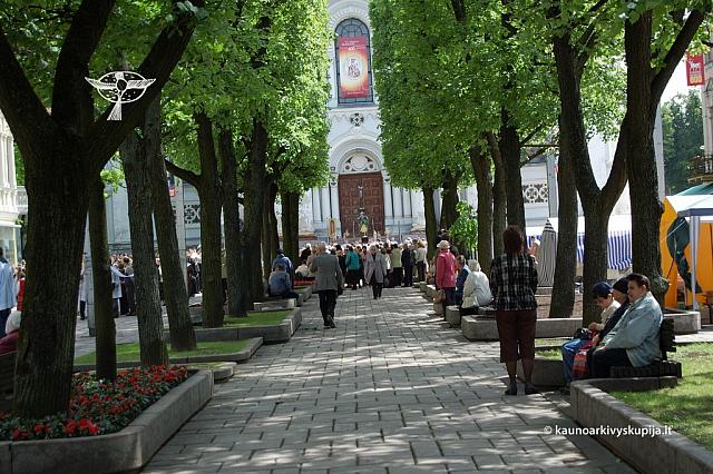 2008 devintines 1079 ds