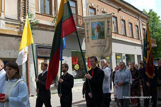 2008 devintines 1082 ds