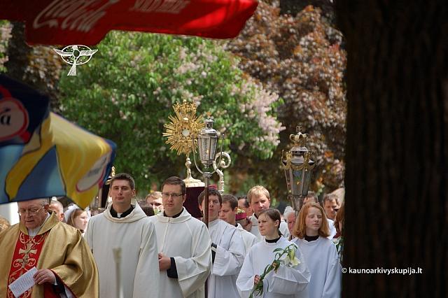 2008 devintines 1138 ds