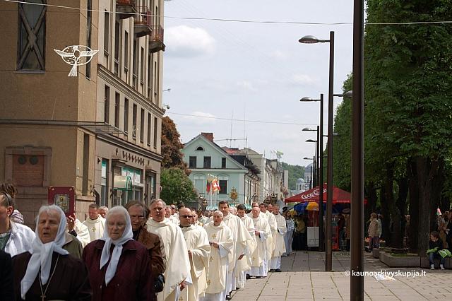 2008 devintines 1139 ds