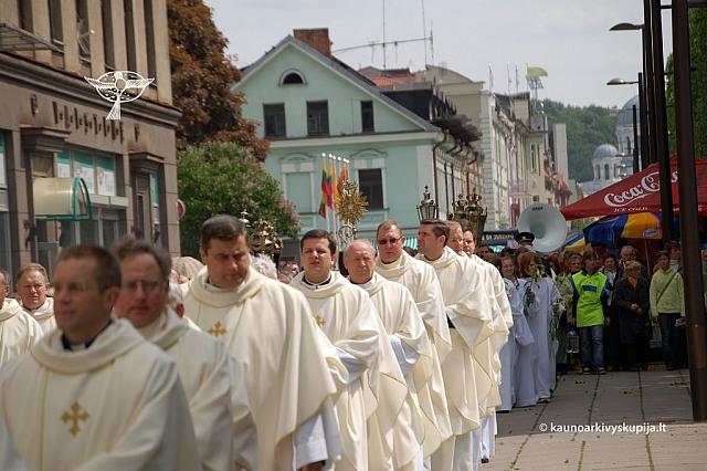 2008 devintines 1142 ds