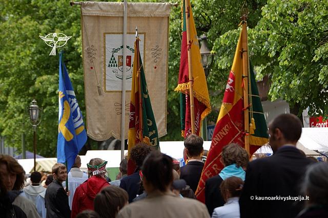 2008 devintines 1148 ds