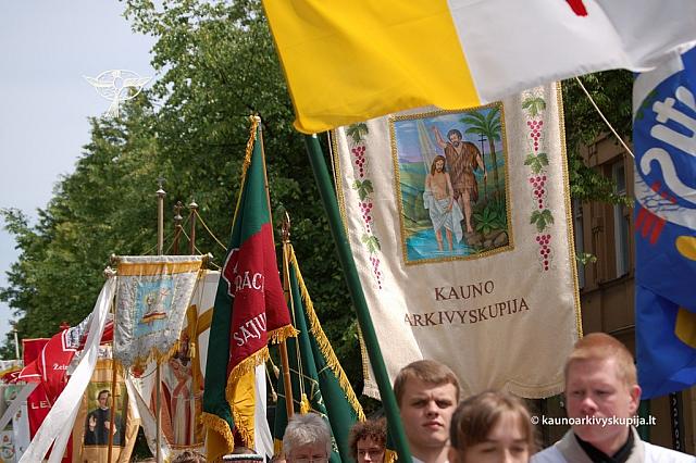 2008 devintines 1151 ds