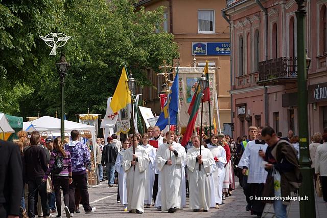 2008 devintines 1153 ds