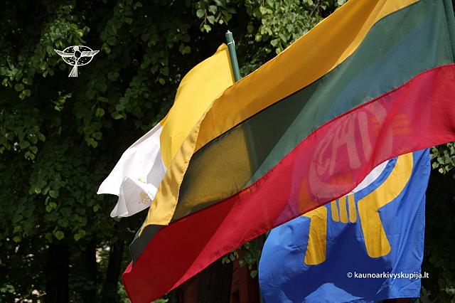 2008 devintines 1156 ds