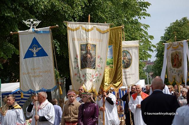 2008 devintines 1160 ds