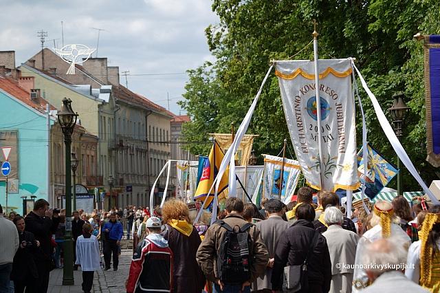 2008 devintines 1161 ds