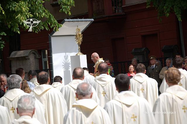 2008 devintines 1163 ds