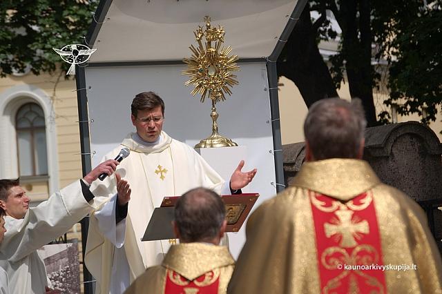 2008 devintines 1164 ds