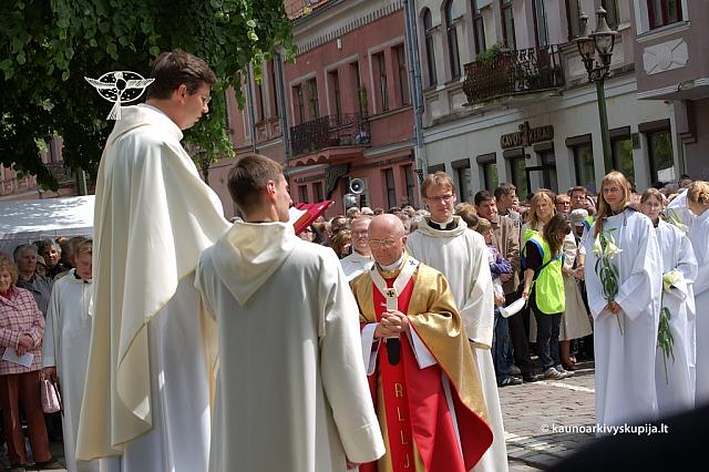 2008 devintines 1176 ds