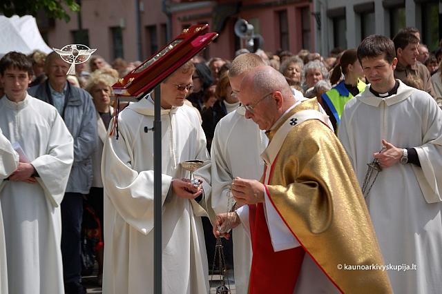 2008 devintines 1179 ds