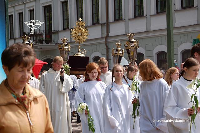 2008 devintines 1195 ds