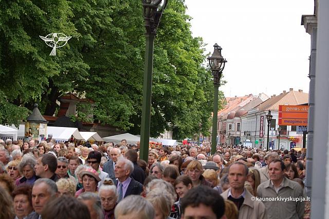 2008 devintines 1203 ds