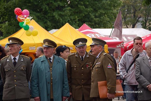 2008 devintines 1206 ds