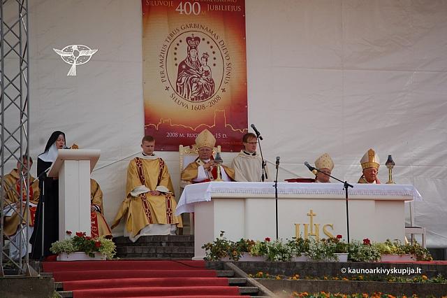 2008 devintines 2041 ds