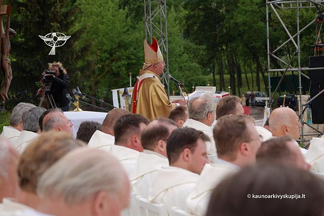 2008 devintines 2067 ds