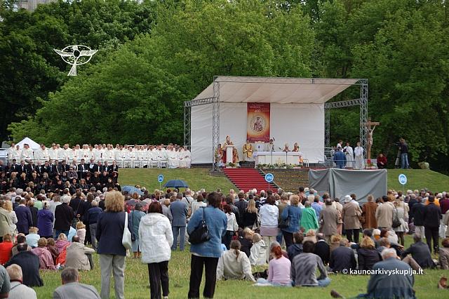 2008 devintines 2089 ds