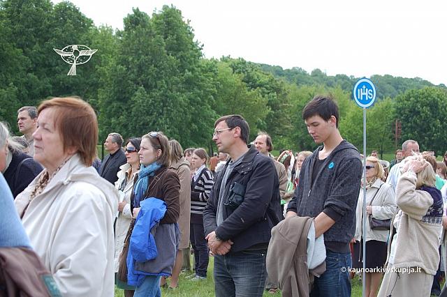 2008 devintines 2138 ds