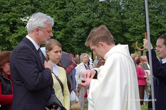 2008 devintines 2141 ds