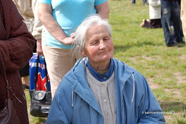 2008 devintines 2144 ds