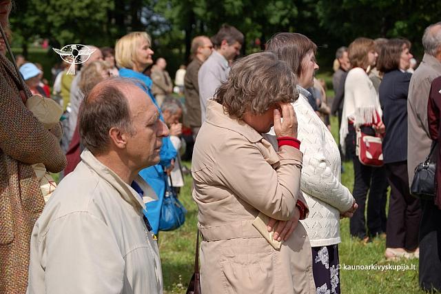 2008 devintines 2145 ds