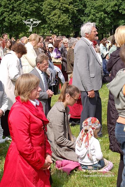 2008 devintines 2147 ds