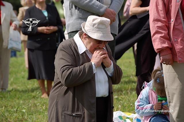 2008 devintines 2151 ds