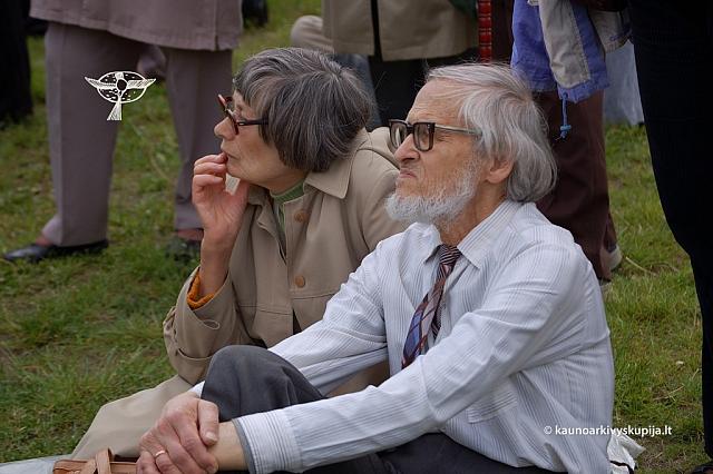 2008 devintines 2153 ds