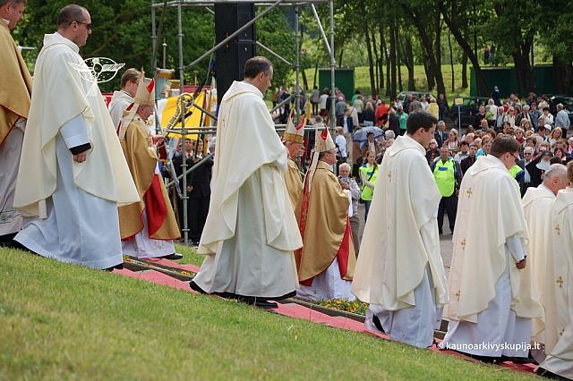 2008 devintines 2169 ds