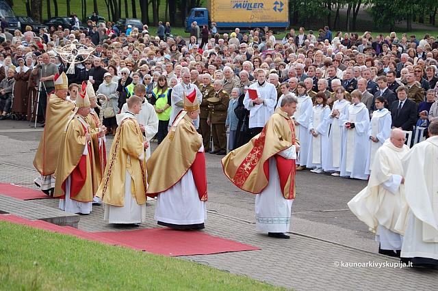 2008 devintines 2173 ds