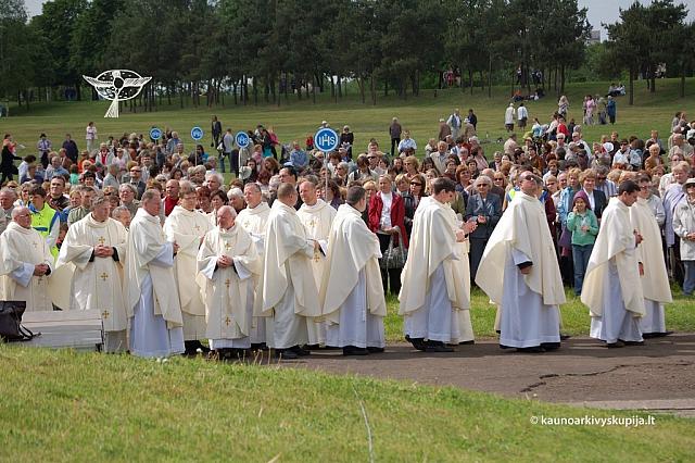 2008 devintines 2177 ds