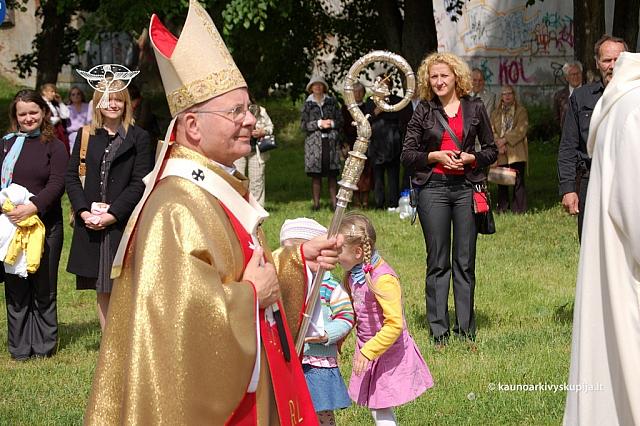 2008 devintines 2182 ds