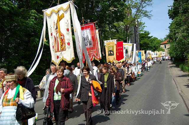 2008 devintines 0788 ak