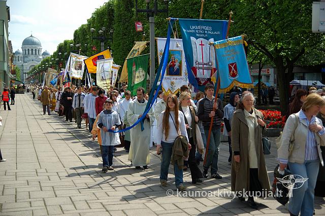 2008 devintines 0959 ak