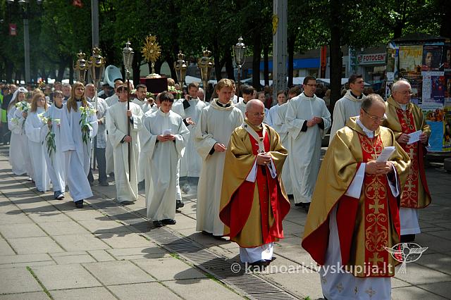 2008 devintines 0981 ak