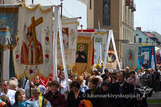 2008 devintines 1033 ak