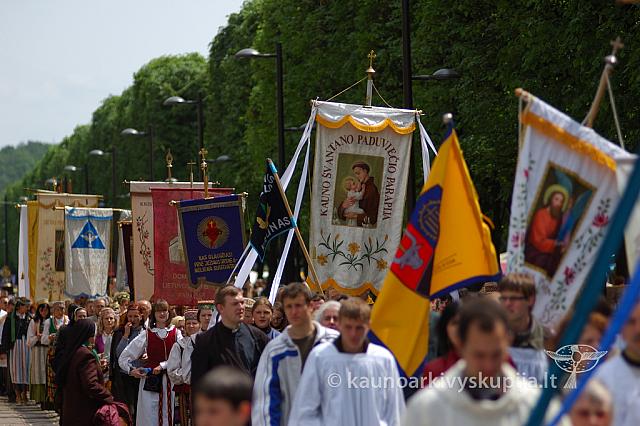 2008 devintines 1041 ak