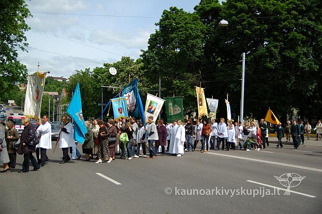 2008 devintines 1099 ak