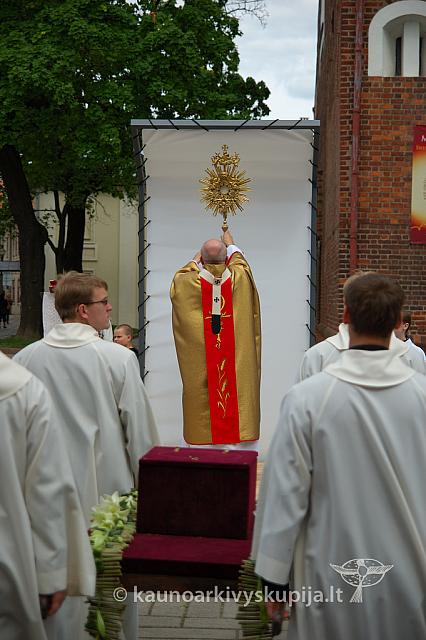 2008 devintines 1159 ak