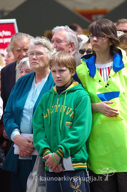 2008 devintines 1172 ak