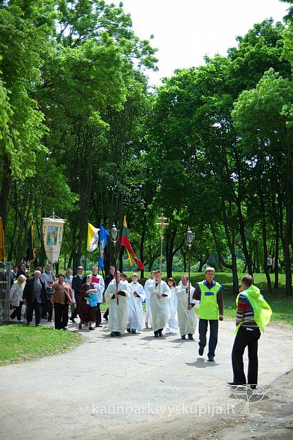 2008 devintines 1202 ak