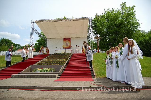 2008 devintines 2220 ak