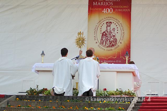 2008 devintines 2230 ak