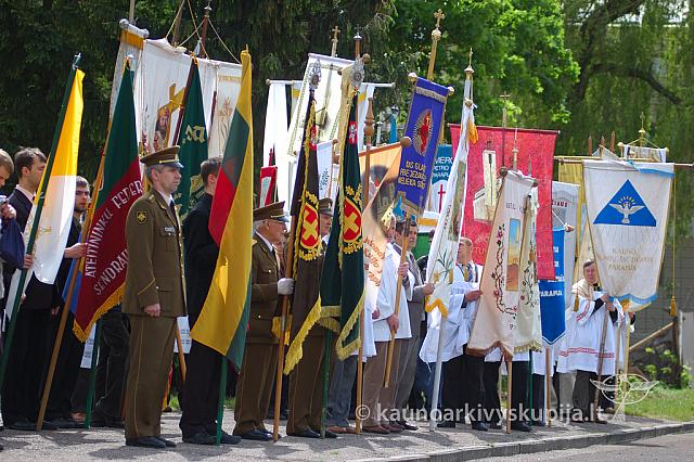 2008 devintines 2233 ak