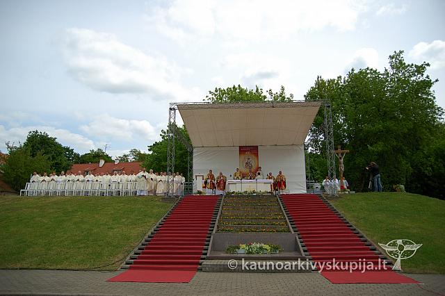 2008 devintines 2250 ak