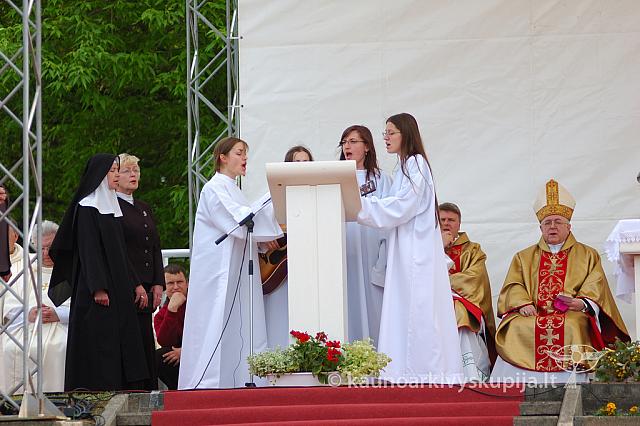 2008 devintines 2255 ak